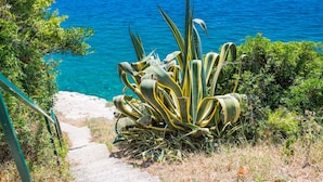 A coastal garden with a pathway leading to a body of water. - Apt Next to the Beach w Balcony and sea View (Baska Voda)