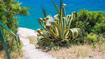 Apartamento | Jardines del alojamiento