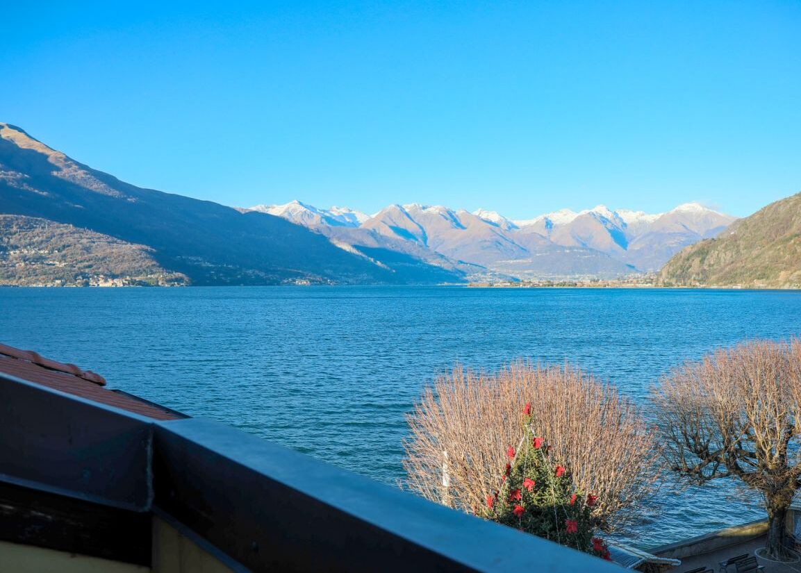 Un lac avec des montagnes en arrière-plan, un ciel dégagé et quelques plantes au premier plan.
