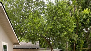 A backyard with a hot tub, outdoor seating, bicycles, and a 'PARKING AREA' sign. - Curated for Fun with Hot Tub, Bikes, Fire Pit & More! (Kerrville)