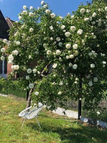 Cottage L'echapée Belle