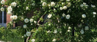 Cottage L'echapée Belle