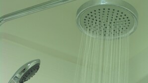 A showerhead with a curved arm and a round head with multiple nozzles.