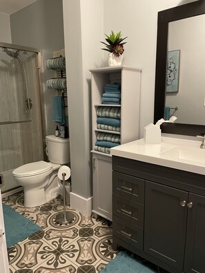 Shower, hair dryer, towels, toilet paper
