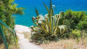Un sentier côtier bordé d’un grand agave, offrant une vue dégagée sur la mer.