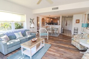 TV, DVD player, books