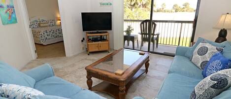 TV, DVD player, books