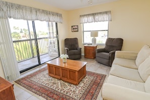 TV, DVD player, books