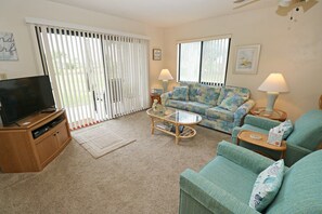 TV, DVD player, books