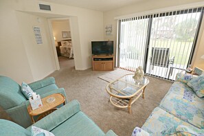 TV, DVD player, books