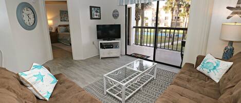 TV, DVD player, books