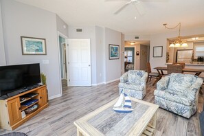 TV, DVD player, books