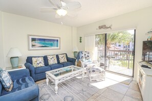 TV, DVD player, books