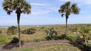 A coastal landscape with palm trees and a clear sky.