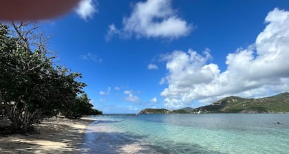 Two bedroom two bathroom stylish newly constructed ocean view with private pool.