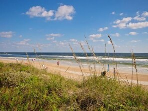 Playa en los alrededores