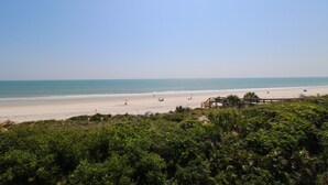 Una spiaggia con cielo sereno, spiaggia sabbiosa e un po' di vegetazione in primo piano.