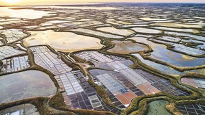 An aerial view of terraced salt flats with distinct geometric patterns and water channels. - Porte Vannetaise - Studio - 20m² - Maximum 2 Personnes (Guérande)
