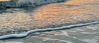 Steps to Siesta Key Beach & Village - 2BR w Balcony,   1945 Triplex 2nd Floor