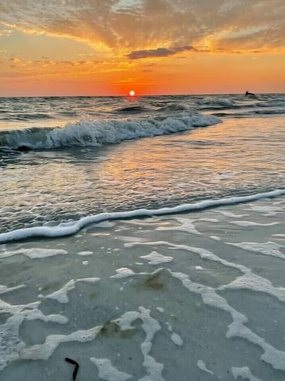 Steps to Siesta Key Beach & Village - 2BR w Balcony,   1945 Triplex 2nd Floor