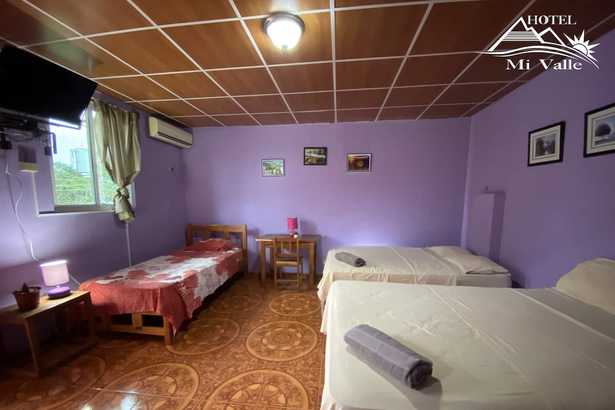 Premium Triple Room, Multiple Beds | Individually decorated, individually furnished, iron/ironing board