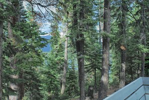 House, Multiple Beds (SKI LEASE "Ons Huis Cabin") | Property grounds