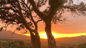 Een landschap met twee opvallende bomen op de voorgrond en een zonsondergang op de achtergrond.