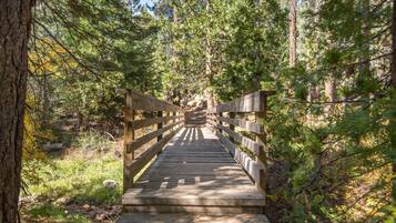 Maison, plusieurs lits (Bear's Den) | Enceinte de lâhĂ©bergement
