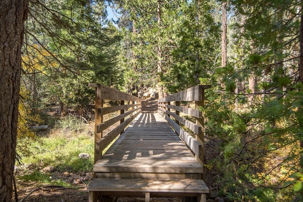 House, Multiple Beds (Bear's Den) | Property grounds