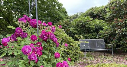 Ferienwohnung im Grünen mit eigenem Garten