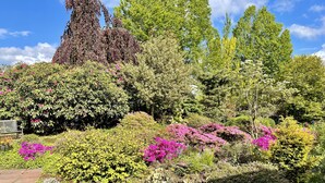Un jardin agrémenté de diverses plantes et arbres à fleurs.