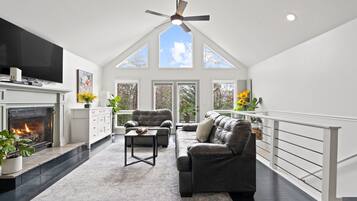 TV connectée, cheminée, lecteur de DVD