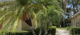 Peaceful Two Bed Condo in Lake Marion Resort