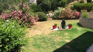 Un jardín bien cuidado con diversas plantas y flores, un camino pavimentado y una estatua en el centro.