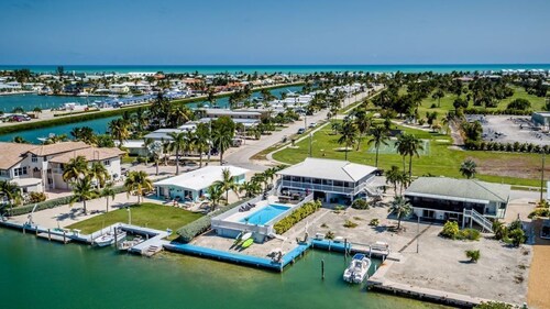 Watch dolphins play in Shelter Cove while swimming in our oversized pool