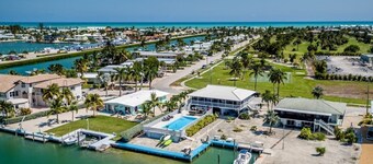 Watch dolphins play in Shelter Cove while swimming in our oversized pool