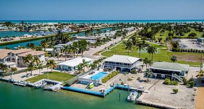 Watch dolphins play in Shelter Cove while swimming in our oversized pool
