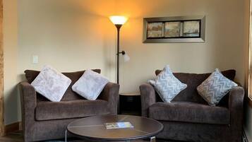 TV, fireplace, books