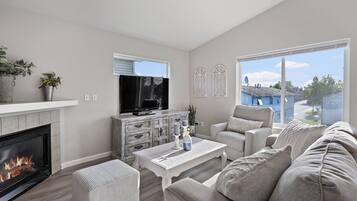 TV connectée, cheminée, lecteur de DVD, livres