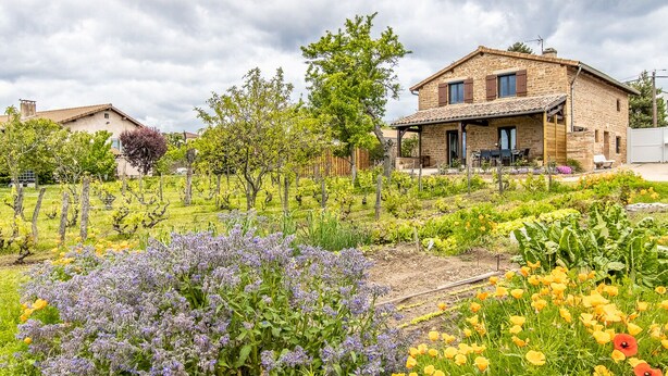 Una propiedad rural con una casa de piedra, un viñedo y un jardín con diversas plantas y flores.