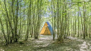 Une cabane en bois de forme triangulaire, entourée d’une forêt dense.