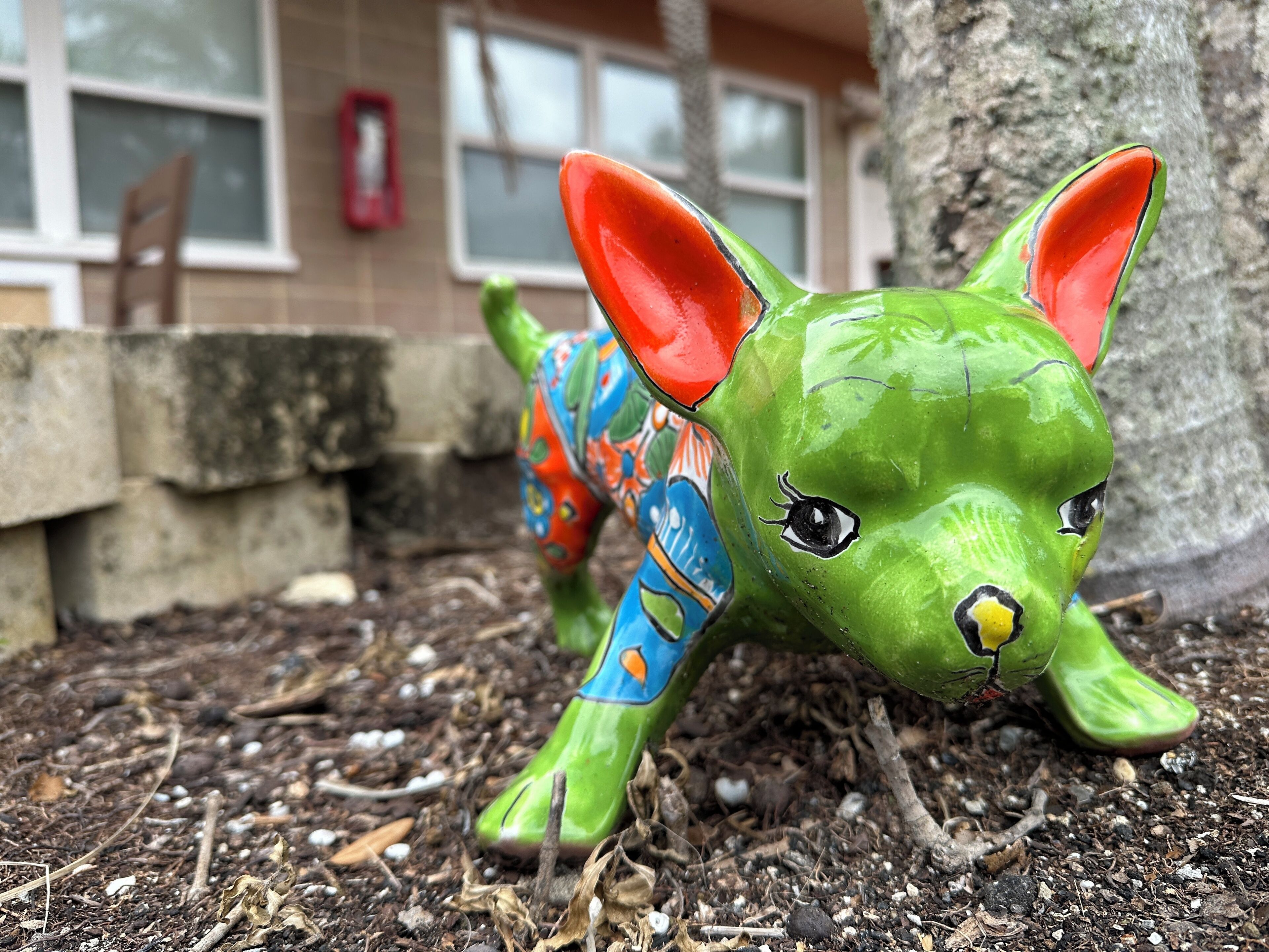 A green ceramic dog with large ears and a yellow nose, positioned on a ground covered with mulch and small rocks, with a building and a tree in the background.