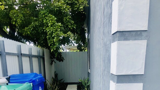 A narrow concrete pathway flanked by a white fence and a cactus plant.