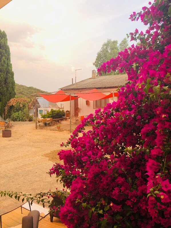 Enceinte de lâhĂ©bergement