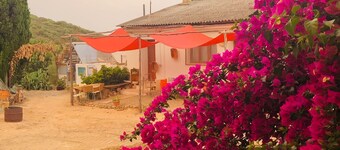 La Casina Rurale In Our Garden