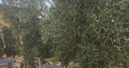 La Casina Rurale In Our Garden