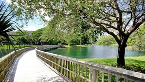 A wooden boardwalk with a metal railing, leading to a calm lake surrounded by trees. - LakeViews-Quaint/Quiet-Wlk 2 Beach-Kingston Plantation-Gated Community (Myrtle Beach)