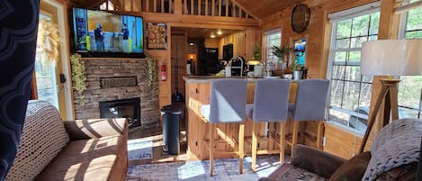 Smart TV, chimenea, reproductor de DVD, libros