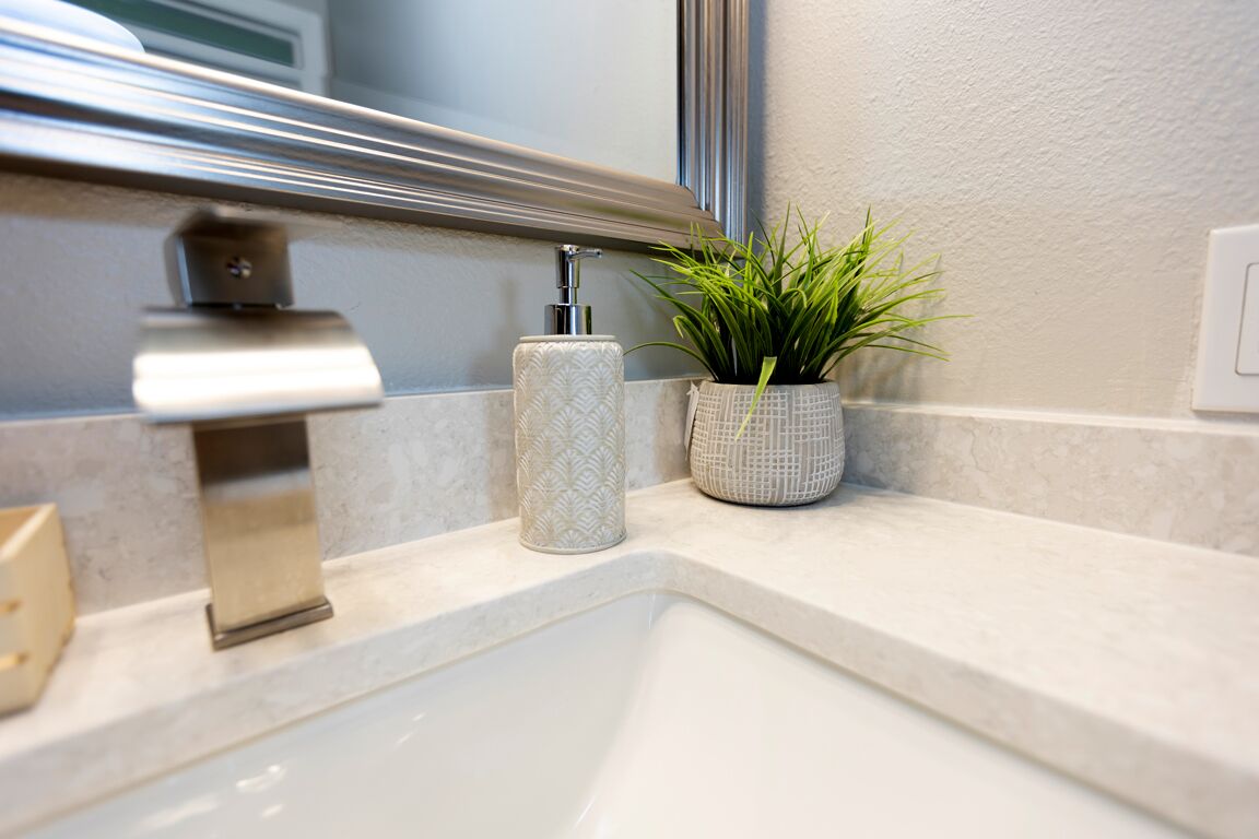 A bathroom with a white sink, a towel dispenser, and a potted plant on the countertop.