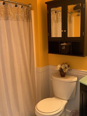 Combined shower/bathtub, hair dryer, towels, soap